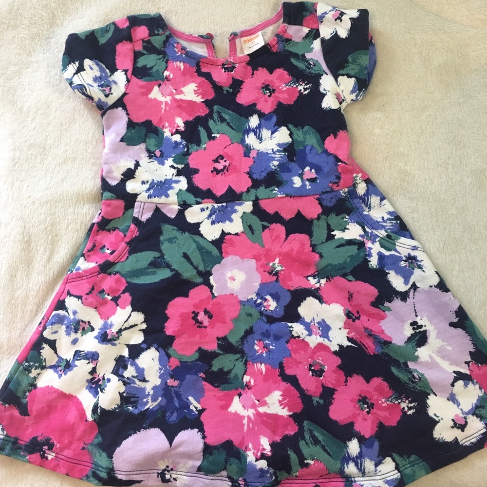 Gymboree Floral Dress 2T